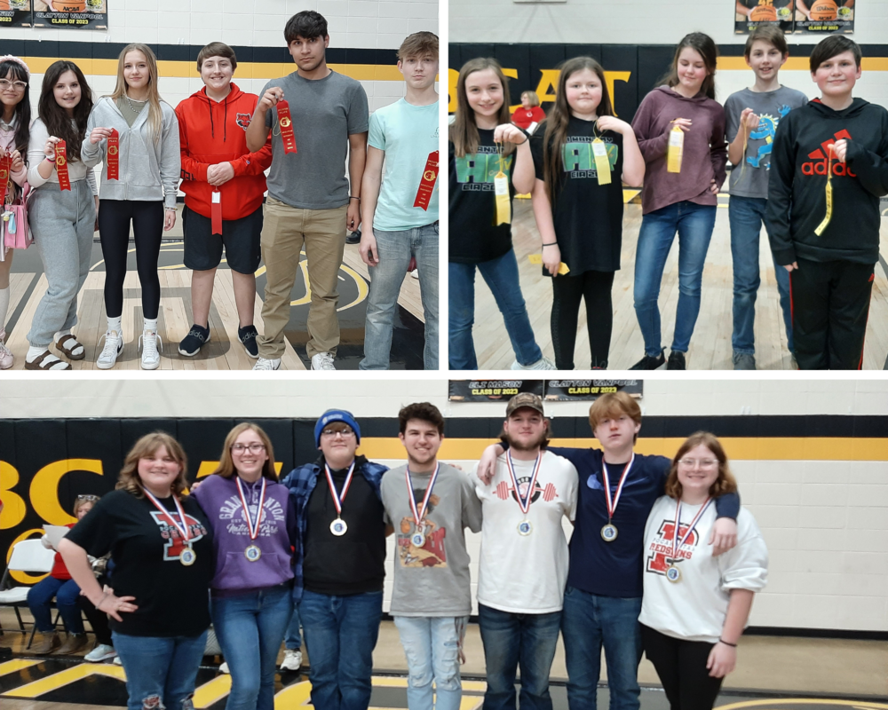 Pocahontas Odyssey of the Mind Teams All Advance to State Competition